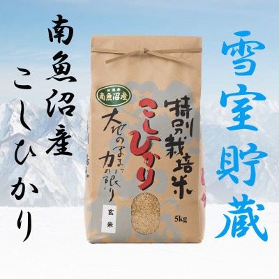 【雪室貯蔵】特別栽培米「南魚沼産コシヒカリ」(玄米)【5kg】
