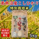 特別栽培米「南魚沼産コシヒカリ」(精米)【5kg】