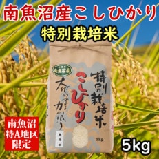 特別栽培米「南魚沼産コシヒカリ」(無洗米)【5kg】