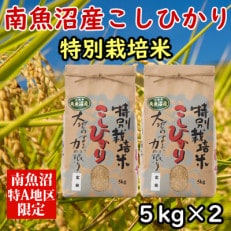 特別栽培米「南魚沼産コシヒカリ」(玄米)【5kg×2袋】