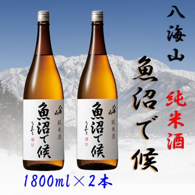 【魚沼地域限定】純米酒 八海山「魚沼で候」1800ml×2本(化粧箱付き)