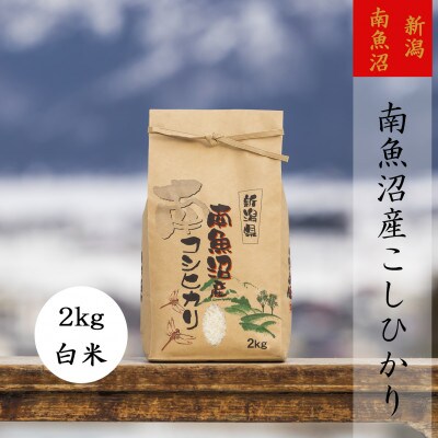 【令和6年産】【高級】南魚沼産こしひかり2kg(精米)