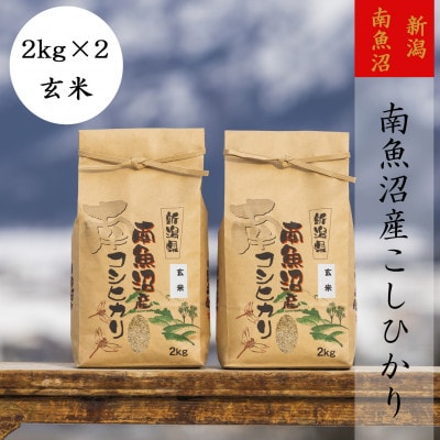 【令和6年産】【高級】南魚沼産こしひかり2kg(玄米)×2袋