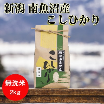 【令和6年産】南魚沼産こしひかり(無洗米)【2kg】