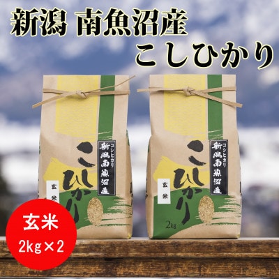 【令和6年産】南魚沼産コシヒカリ(玄米)【2kg×2袋】