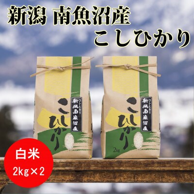 【令和6年産】南魚沼産コシヒカリ(精米)【2kg×2袋】