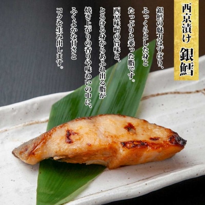 【無地熨斗】西京漬け 銀鮭 銀鱈 切り身 計8切れ 漬け魚 新潟県 南魚沼市 1