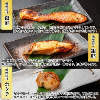 味噌漬け 漬け魚 銀鮭 銀鱈 計4切れ ホタテ 4個入り 越後味噌 新潟県 南魚沼市 7