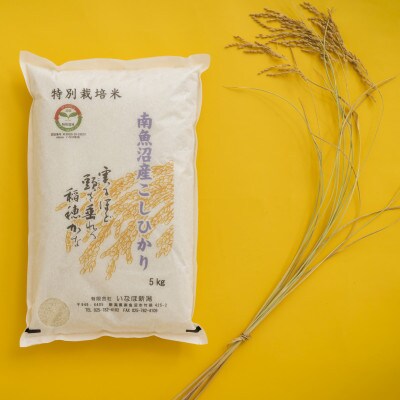 【令和5年産 】 南魚沼産コシヒカリ「特別栽培米(アファス認証)」精米5kg