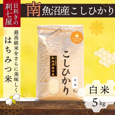 【令和6年産】南魚沼産コシヒカリ『はちみつ米』精米5kg