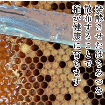 【令和6年産】南魚沼産コシヒカリ『はちみつ米』精米5kg