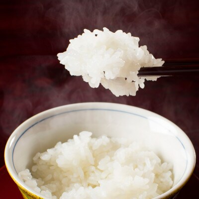 【令和6年産】南魚沼産コシヒカリ『はちみつ米』精米5kg