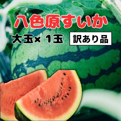 【わけあり品】【新潟県 南魚沼産】八色原すいか大玉1玉
