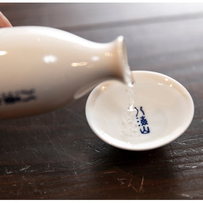 【季節限定品】 八海山しぼりたて原酒 越後で候 青・純米吟醸 八海山 55%四合瓶セット
