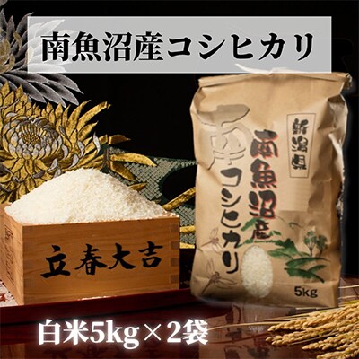 【毎月定期便】【高級】南魚沼産こしひかり5kg(白米)×2袋全12回