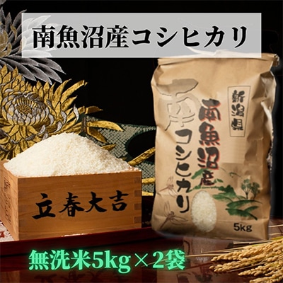 【毎月定期便】【高級】南魚沼産こしひかり精米5kg(無洗米)×2袋全12回
