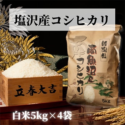 【毎月定期便】【高級】南魚沼しおざわ産こしひかり5kg(白米)×4袋全12回