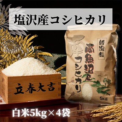 【毎月定期便】【高級】南魚沼しおざわ産こしひかり5kg(白米)×4袋全3回