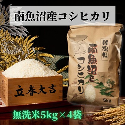 【毎月定期便】【高級】南魚沼産こしひかり精米5kg(無洗米)×4袋全9回