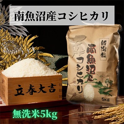 【毎月定期便】【高級】南魚沼産こしひかり精米5kg(無洗米)全6回
