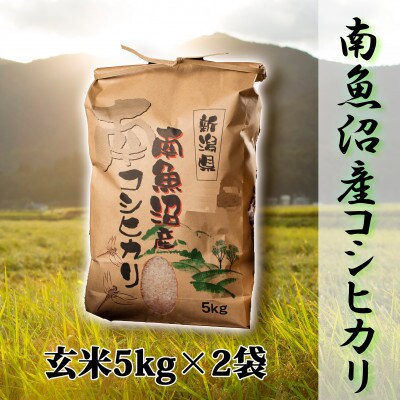 【毎月定期便】【高級】南魚沼産こしひかり5kg(玄米)×2袋全12回