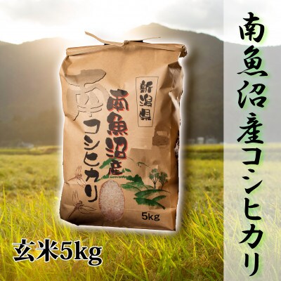 【毎月定期便】【高級】南魚沼産こしひかり5kg(玄米)全6回