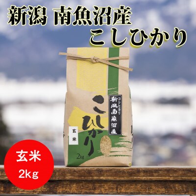 【毎月定期便】南魚沼産こしひかり(玄米)【2kg】全3回