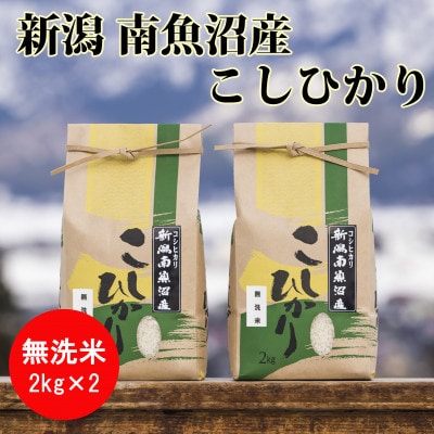 【毎月定期便】南魚沼産コシヒカリ精米(無洗米)【2kg×2袋】全6回