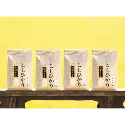 【毎月定期便】南魚沼産コシヒカリ精米(無洗米)【5kg×4袋】全12回