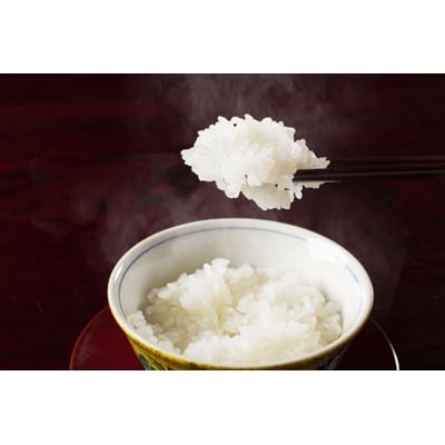 【毎月定期便】南魚沼産コシヒカリ精米(無洗米)【5kg×4袋】全3回