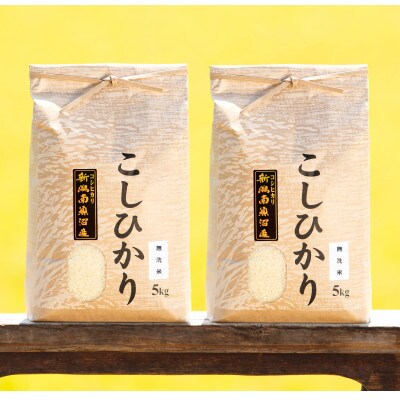 【毎月定期便】南魚沼産コシヒカリ精米(無洗米)【5kg×2袋】全3回