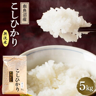 【毎月定期便】南魚沼産こしひかり精米(無洗米)【5kg】全6回