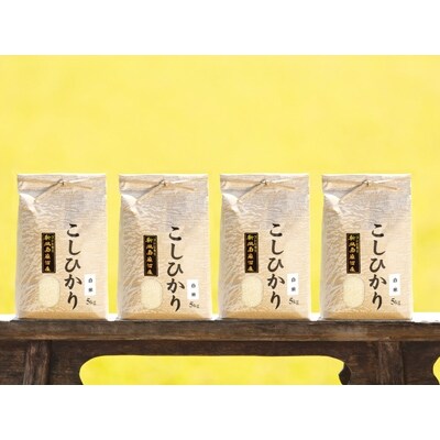 【毎月定期便】南魚沼産コシヒカリ(白米)【5kg×4袋】全9回