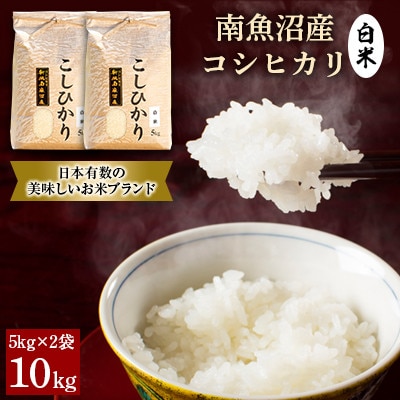 【毎月定期便】南魚沼産コシヒカリ(白米)【5kg×2袋】全12回