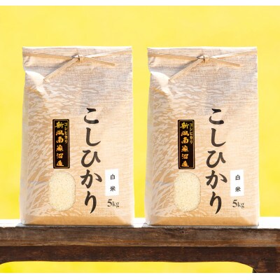 【毎月定期便】南魚沼産コシヒカリ(白米)【5kg×2袋】全12回
