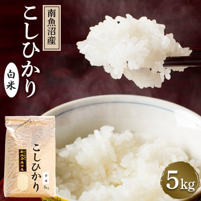 【毎月定期便】南魚沼産こしひかり(白米)【5kg】全9回