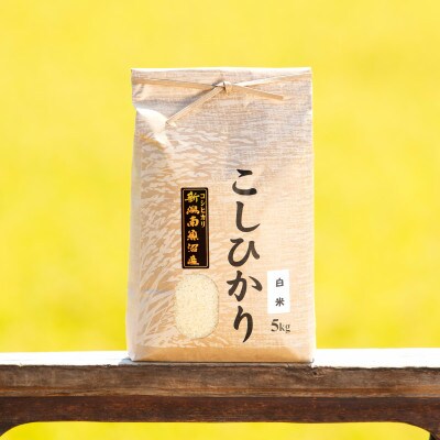 【毎月定期便】南魚沼産こしひかり(白米)【5kg】全9回
