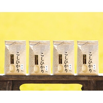 【毎月定期便】南魚沼産コシヒカリ(玄米)【5kg×4袋】全6回