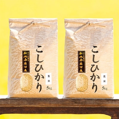 【毎月定期便】南魚沼産コシヒカリ(玄米)【5kg×2袋】全6回