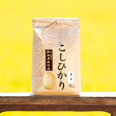【毎月定期便】南魚沼産こしひかり(玄米)【5kg】全3回