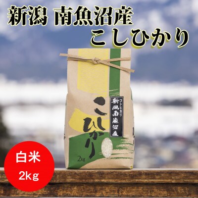 【毎月定期便】南魚沼産こしひかり(精米)【2kg】全9回