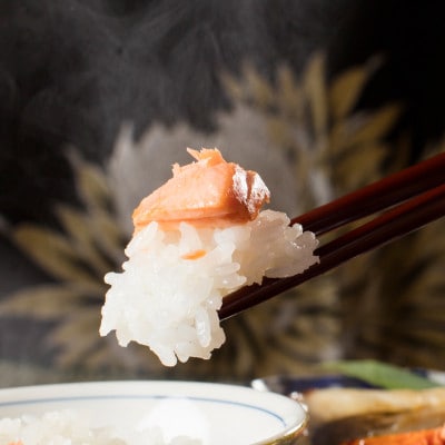 【毎月定期便】【高級】南魚沼しおざわ産こしひかり2kg(精米)全9回