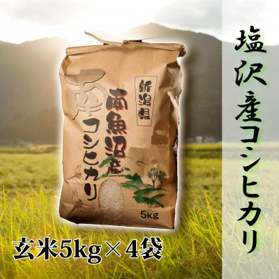 【毎月定期便】【高級】南魚沼しおざわ産こしひかり5kg(玄米)×4袋全9回