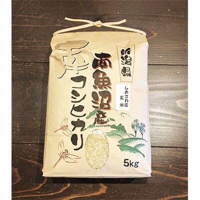 2022年3月発送開始『定期便』【高級】南魚沼しおざわ産こしひかり5kg(玄米)×2袋　全12回