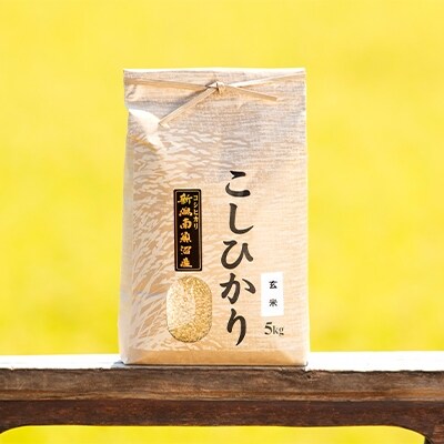 2022年3月発送開始『定期便』南魚沼産こしひかり(玄米)【5kg】全6回