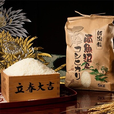 2022年8月発送開始『定期便』【高級】南魚沼しおざわ産こしひかり5kg(無洗米)×2袋　全3回