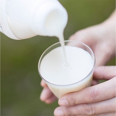 2023年4月発送開始『定期便』八海山　乳酸発酵のあまさけGABA　118g×30本　全12回