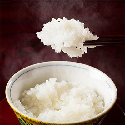 2023年3月発送開始『定期便』【高級】南魚沼しおざわ産こしひかり2kg(玄米)全3回