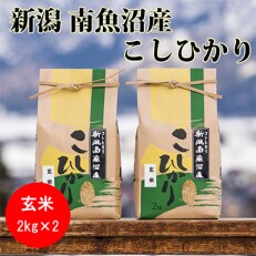 2023年5月発送開始『定期便』南魚沼産コシヒカリ(玄米)【2kg×2袋】全3回