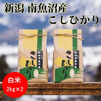 2023年3月発送開始『定期便』南魚沼産コシヒカリ(精米)【2kg×2袋】全12回